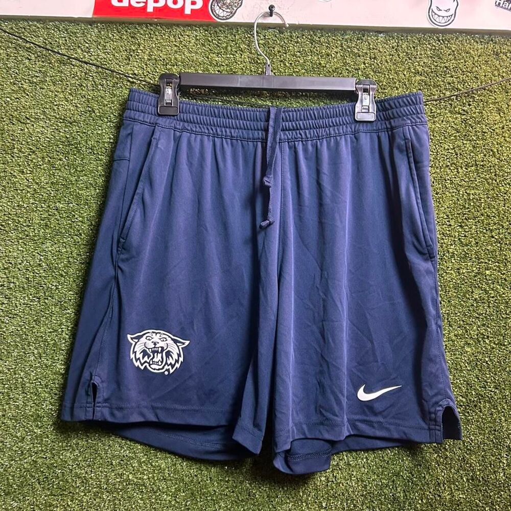 Nike Men's Navy and Blue Shorts